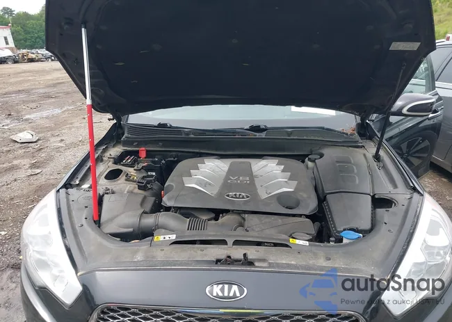 KNALW4D44G6028663: 42276731