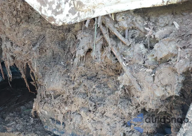 1GTH6BEN2M1216465: 42277472