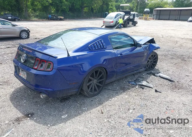 1ZVBP8AM4E5312902: 42278386