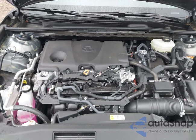 4T1DBADK8SU525909: 42277892