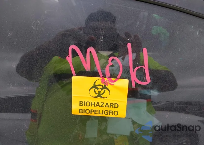 1N4AL21E37N408349: 42277922