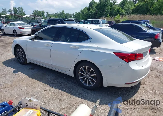 19UUB1F51JA009386: 42278206