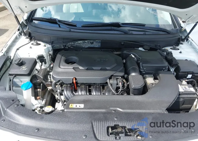 5NPE24AF4GH307341: 42279282