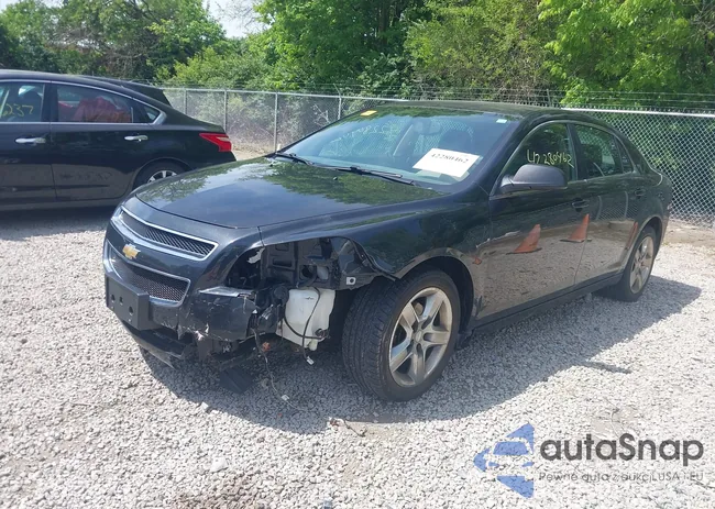 1G1ZB5E02CF211055: 42280462