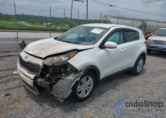 KNDPM3ACXK7626226: 42280488