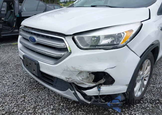 1FMCU0G91HUC89184: 42280668