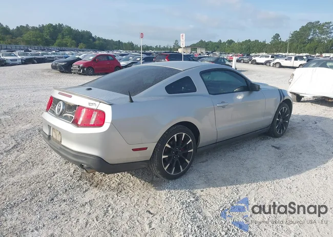 1ZVBP8AM7C5288124: 42280797