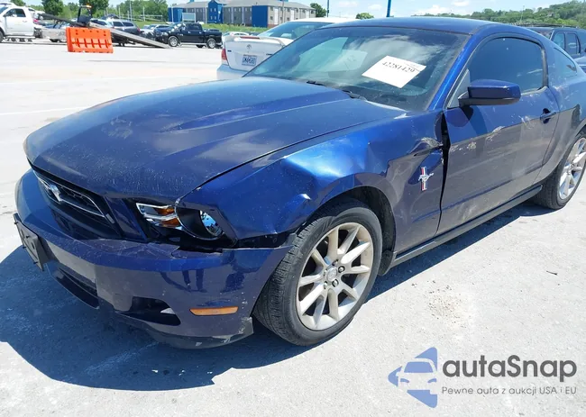 1ZVBP8AM5B5103356: 42281429