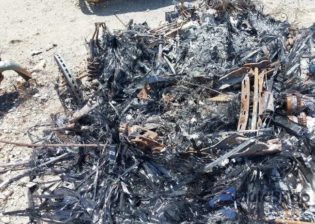 SBM14SCA9NW765079: 42282933