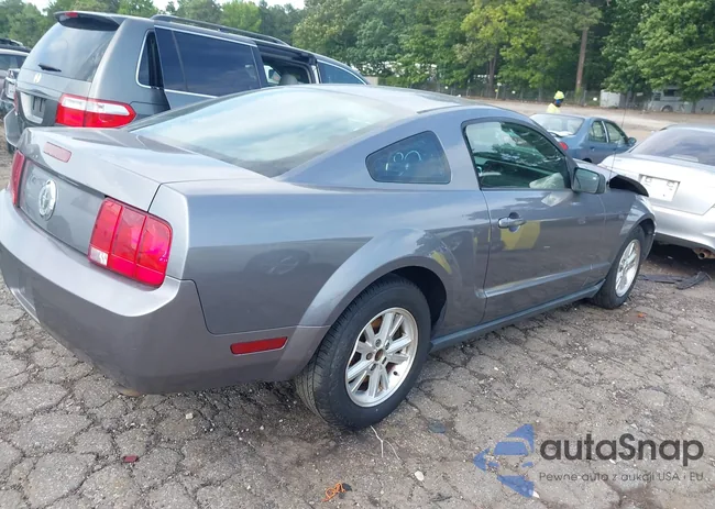 1ZVFT80N365257951: 42284594