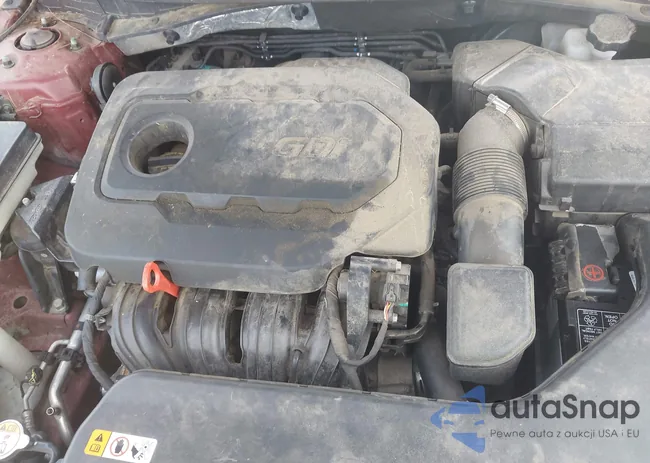 5NPE24AF8FH004612: 42285211