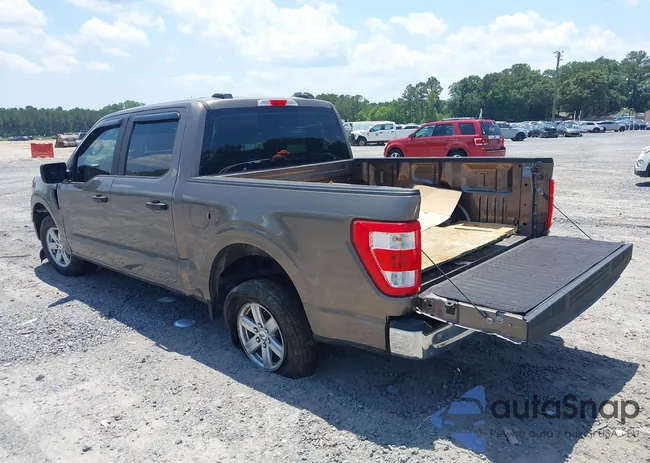 1FTEW1C58MFB15661: 42284817