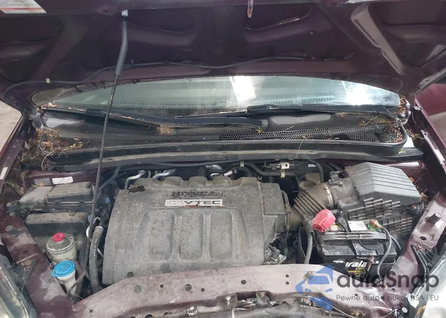 5FNRL38229B044974: 42287419