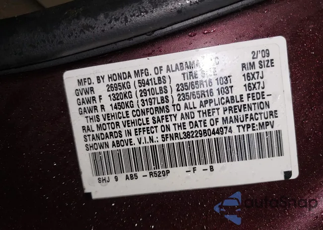 5FNRL38229B044974: 42287419