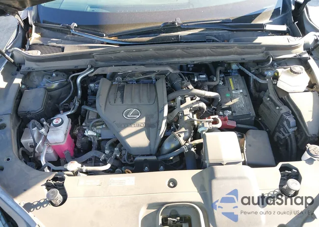 2T2BAMBAXPC005107: 42287535