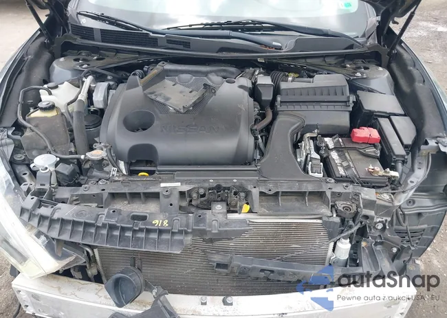 1N4AA6AP9JC397763: 42286894