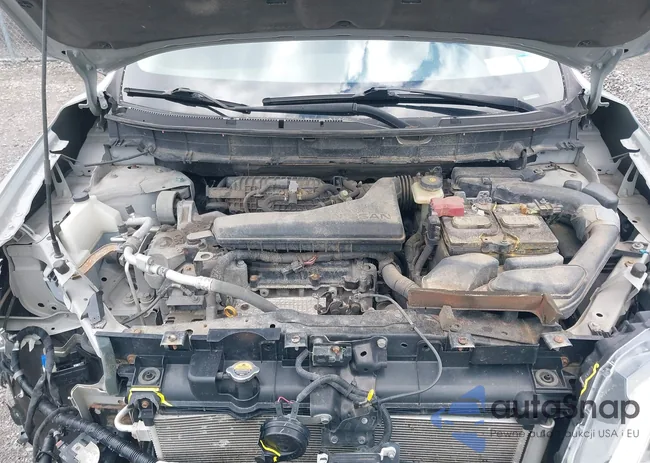 5N1AT2MV1HC872531: 42287814