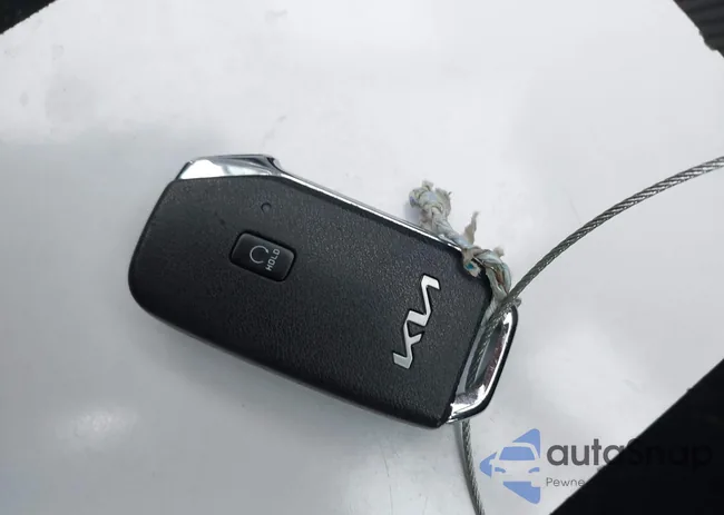 KNDC3DLCXN5087157: 42287893