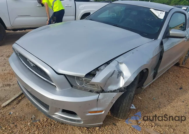 1ZVBP8AM4E5302273: 42288143