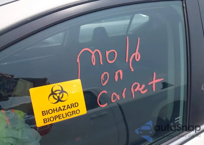 1N4BL4DV1NN323020: 42289307