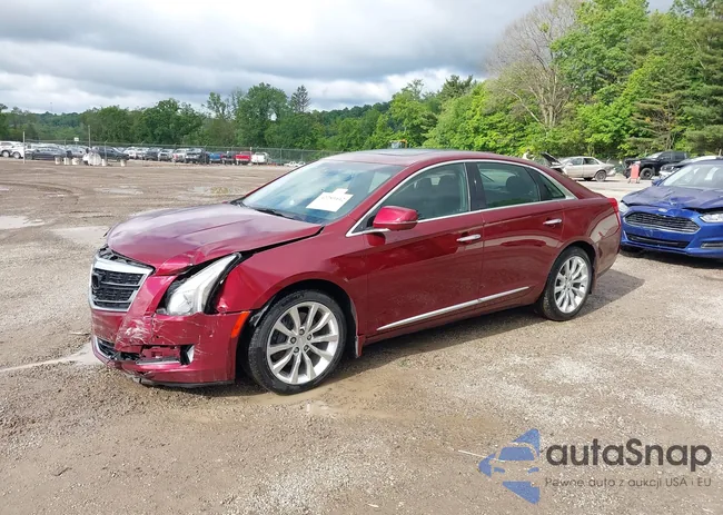 2G61M5S31G9133513: 42289442