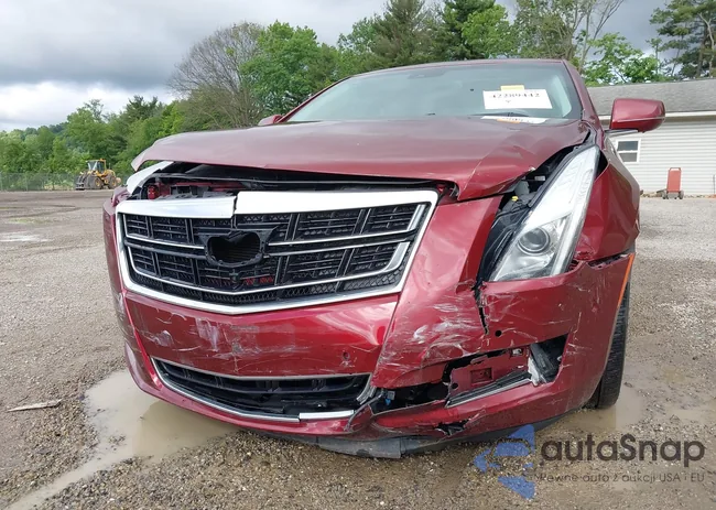 2G61M5S31G9133513: 42289442