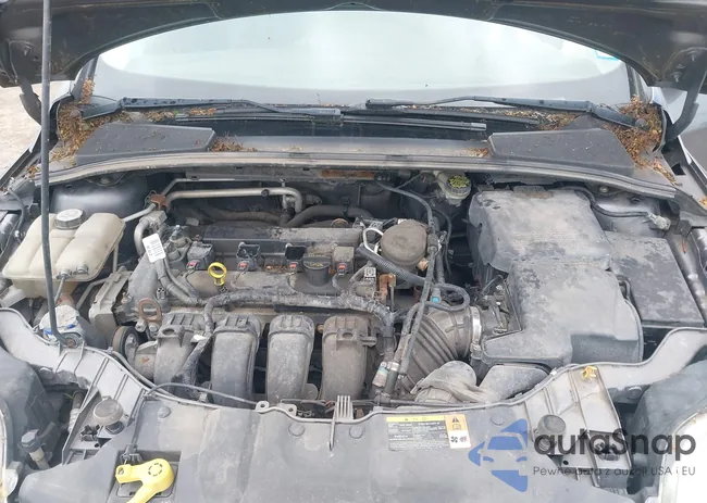 1FADP3F2XDL257992: 42289461