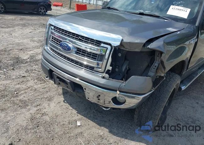 1FTFW1EF0DFC76385: 42288954