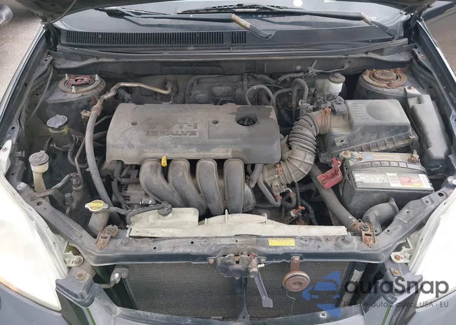 2T1KR32E77C672954: 42290637