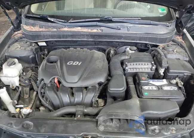 5NPEB4AC3DH556361: 42291791