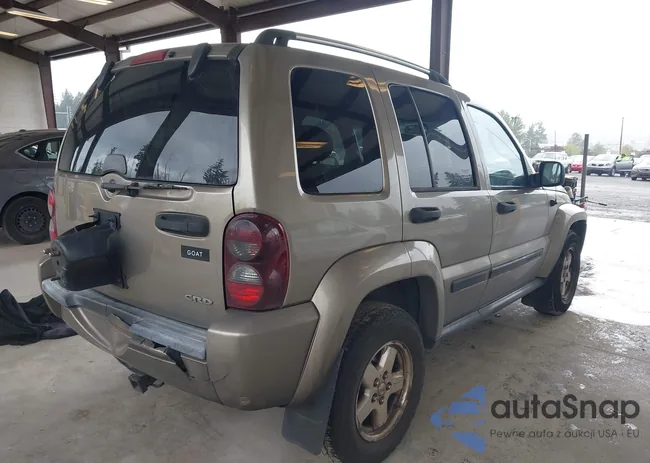 1J4GL58576W113642: 42290963