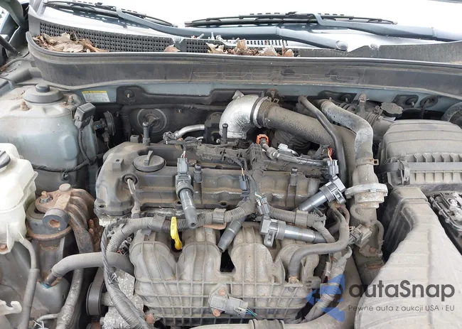 5NPEC4AB3CH451435: 42292537