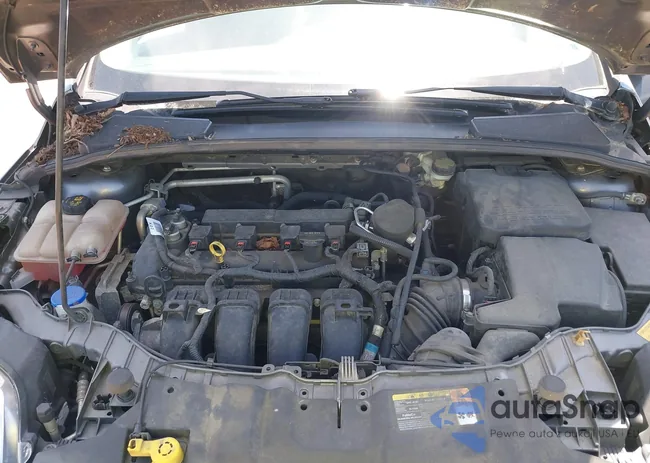 1FADP3F23EL262436: 42291998