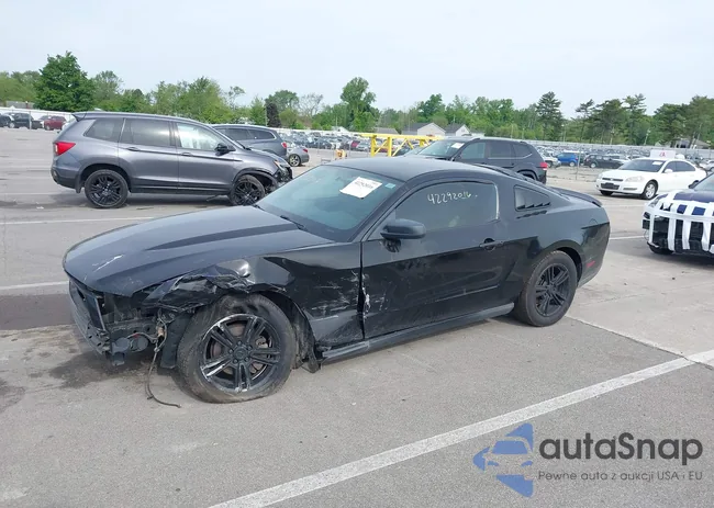 1ZVBP8AN5A5181949: 42292016