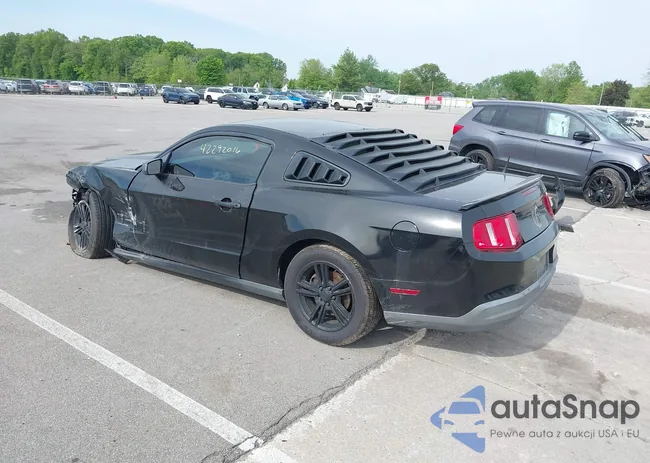 1ZVBP8AN5A5181949: 42292016