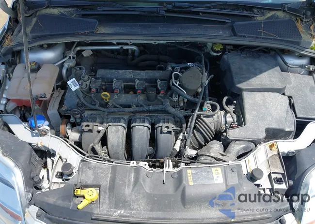 1FADP3K2XEL404562: 42292834