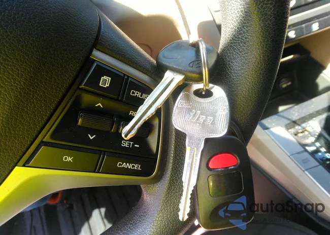 5NPD74LF6HH166090: 42294366