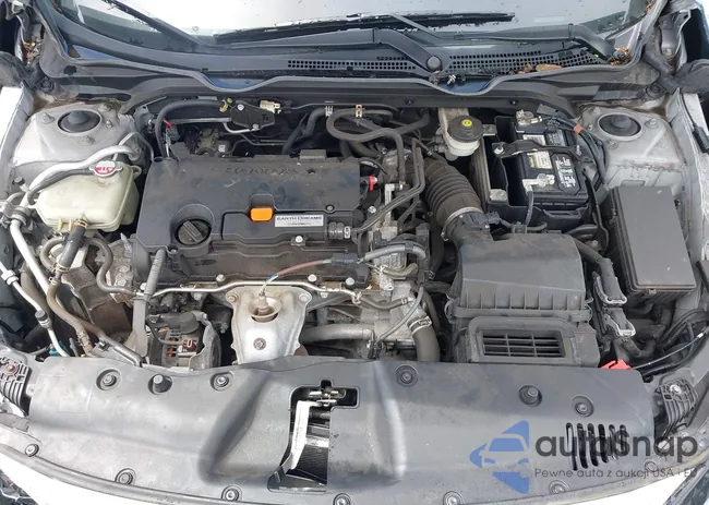 2HGFC2F83KH565997: 42294436