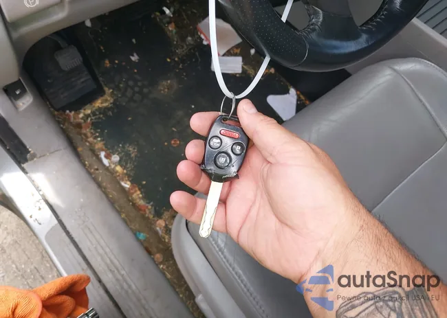 5FNYF4H51EB044963: 42293856