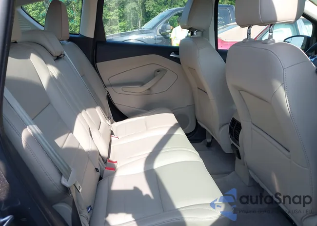 1FADP5BU7GL117485: 42295402