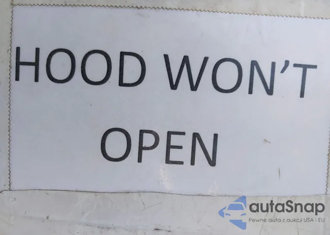 3FA6P0K94FR310524: 42295589