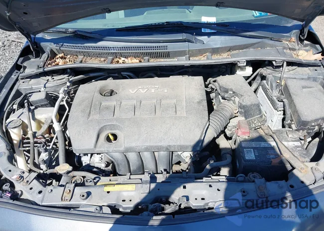 2T1BU4EE7AC511446: 42295766