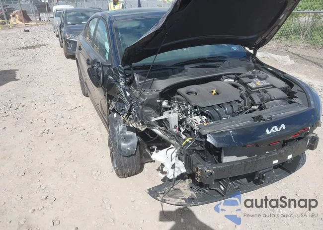 3KPF54AD7RE761231: 42294943