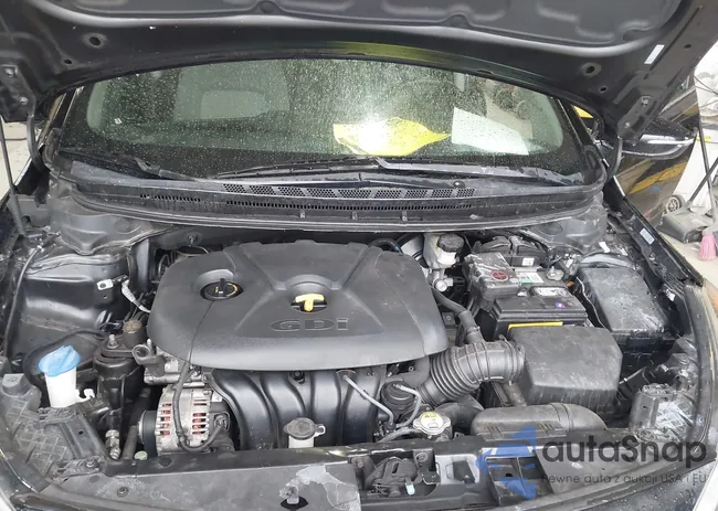 KNAFX4A89E5095179: 42296783