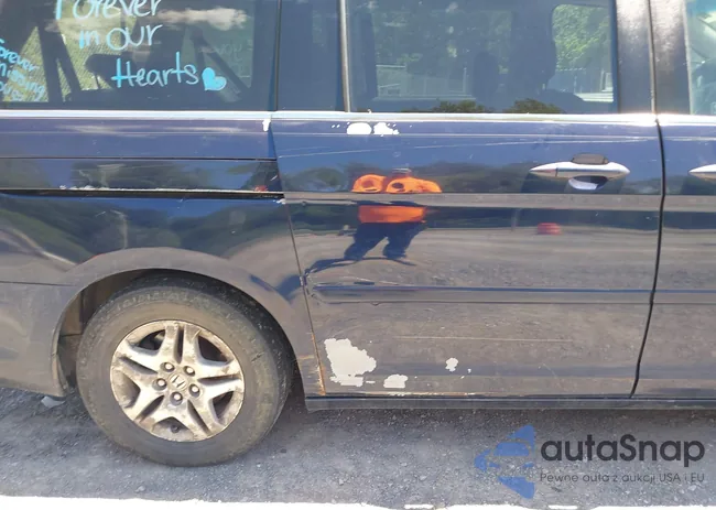 5FNRL386X6B059558: 42295963