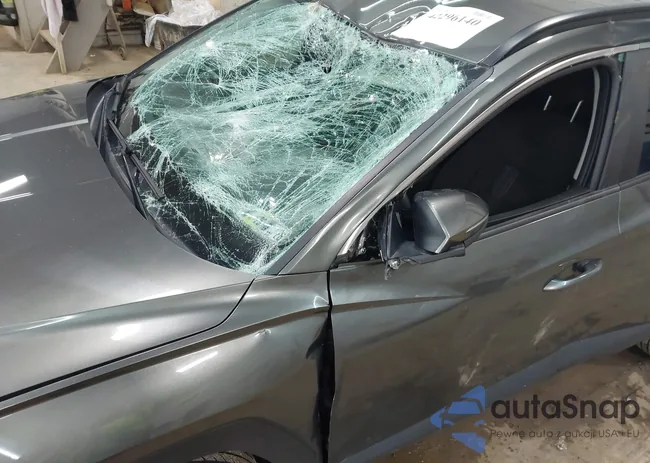 5NMJBCAE3PH220415: 42296140