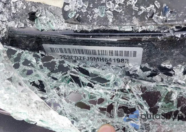 2C3CDZFJ9MH641983: 42297156