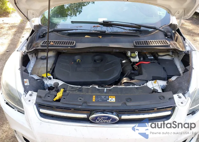 1FMCU0J90DUD39365: 42297163