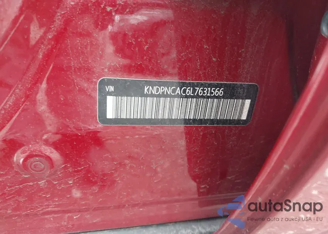 KNDPNCAC6L7631566: 42298338