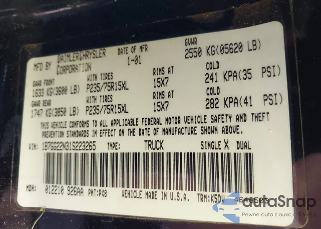 1B7GG22N31S223265: 42297809